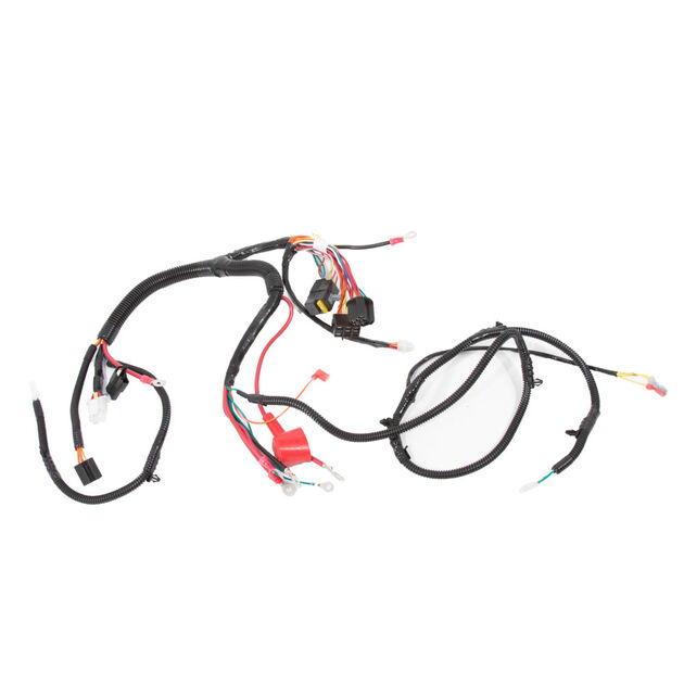 Main Harness Assembly