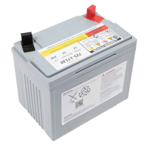 12-Volt Absorbent Glass Mat (AGM) Battery - 230 CCA