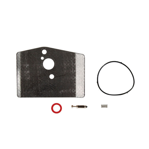 Carburetor Kit (Minor)