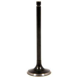 EXHAUST VALVE                 