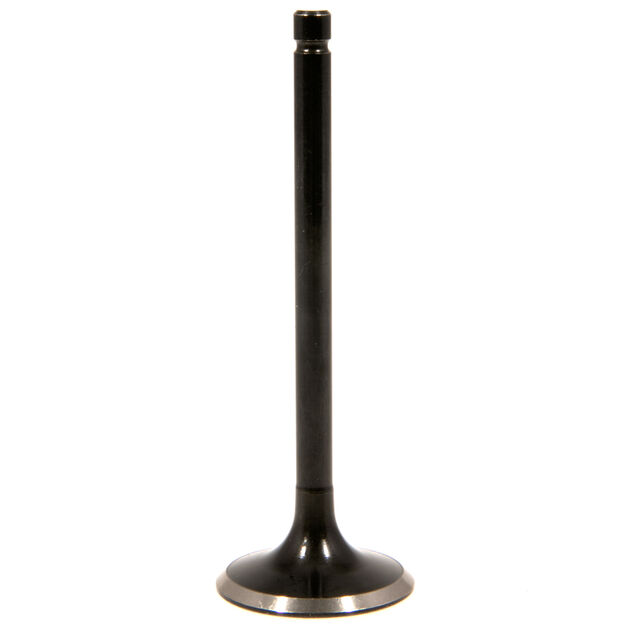 EXHAUST VALVE                 