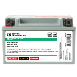 12-Volt AGM Lawn and Garden Battery - 135 CCA