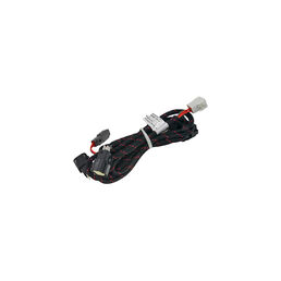 WIRE HARNESS, WING