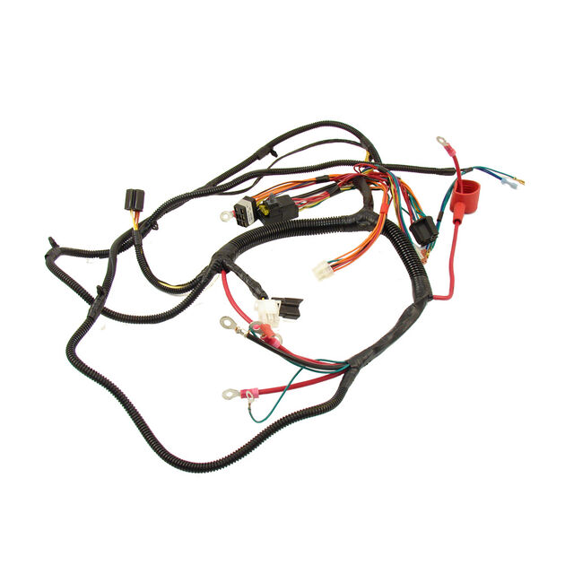 Harness Assembly (Main)