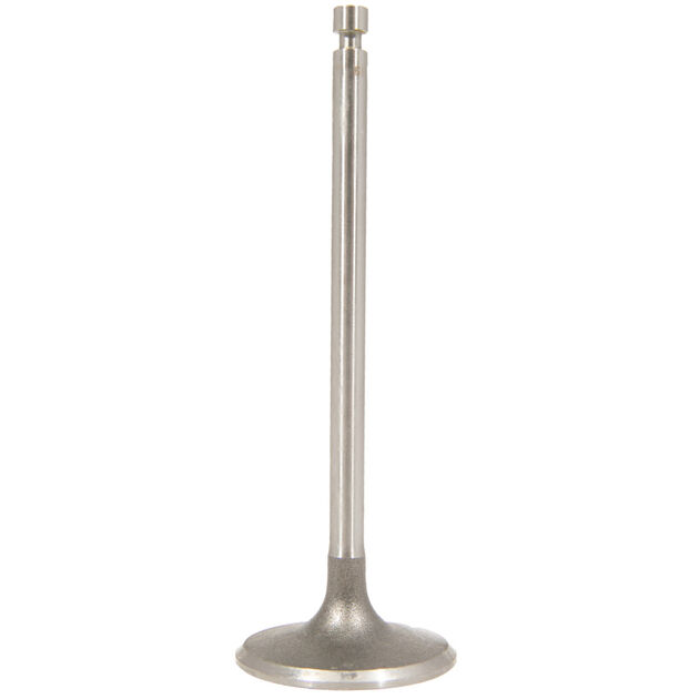Intake Valve