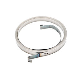 Rewind Starter Spring