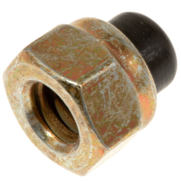 Hex Acorn Nut