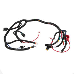 Main Wire Harness
