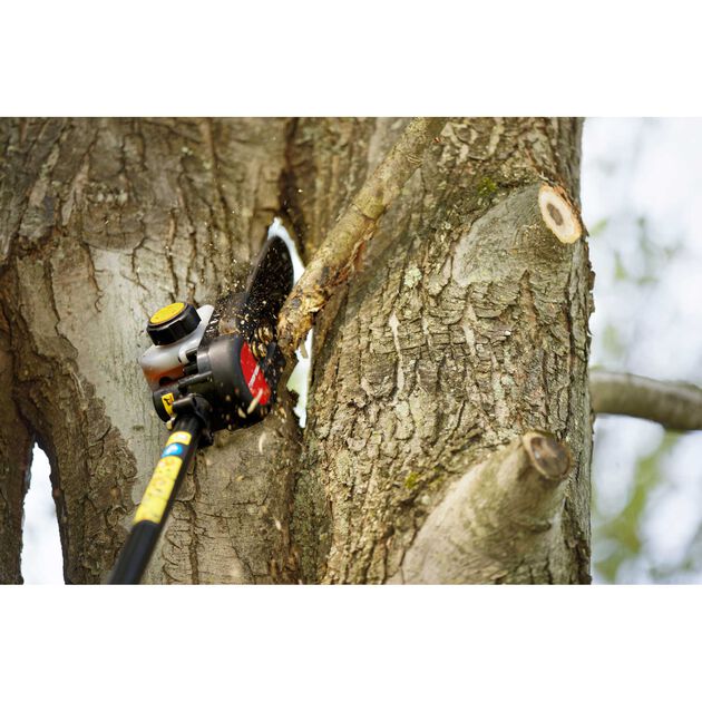 TB25PS 25cc 10" Gas Pole Saw