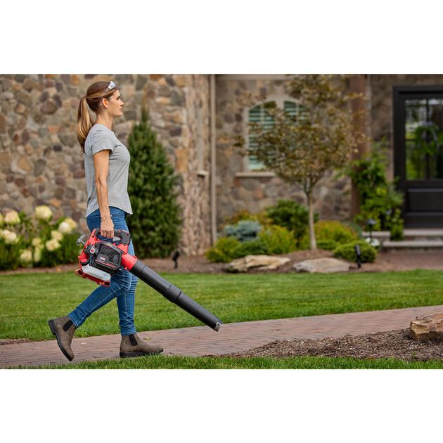 CRAFTSMAN&reg; B2200 2-Cycle Leaf Blower CMXGAAMRBL25