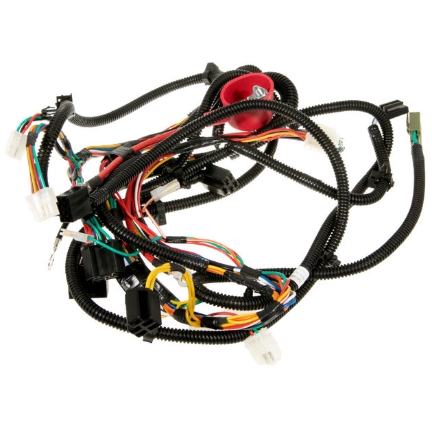 Main Harness (RMC)