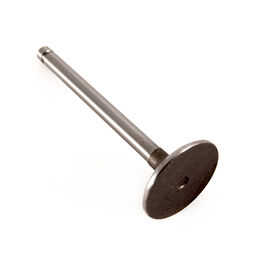 Intake Valve
