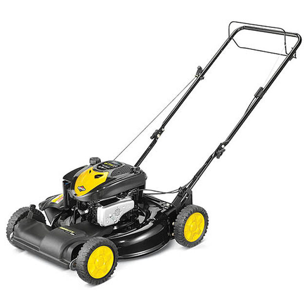 Brute Self Propelled Lawn Mower Model 12A-A06N778