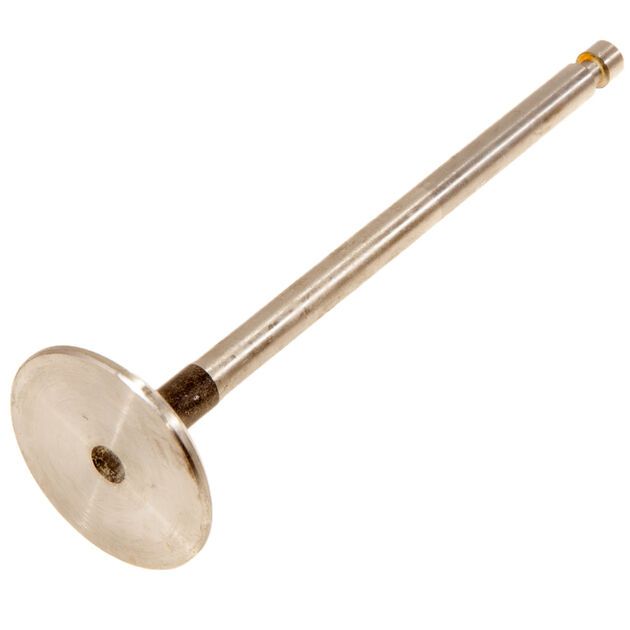 Exhaust Valve