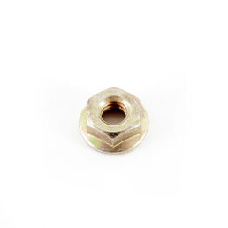 Flange Nut