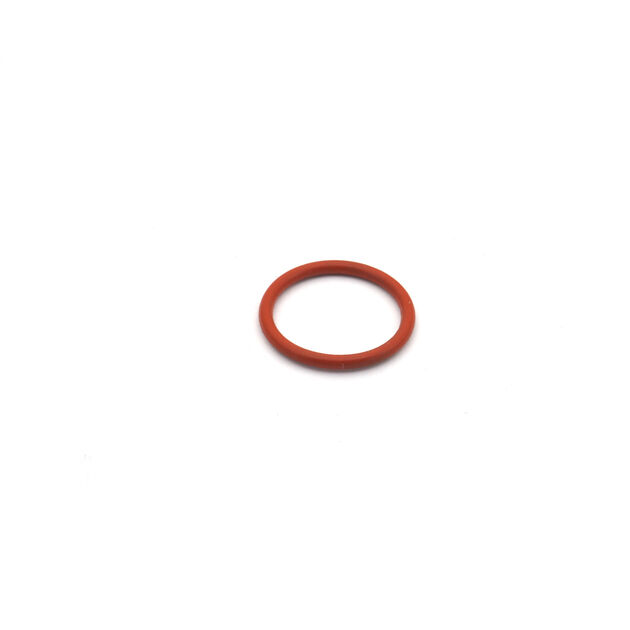 SEAL-"O" RING     CARB SPACERN
