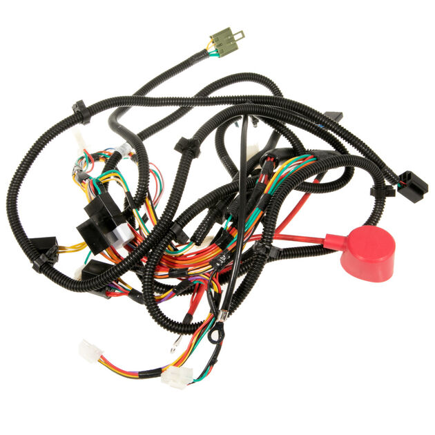 Main Harness (RMC)
