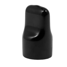 CAP PLUG