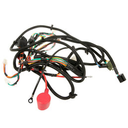 Main Harness (RMC)