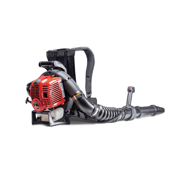Craftsman 4-Cycle Backpack Leaf Blower CMXGAAMR32BP