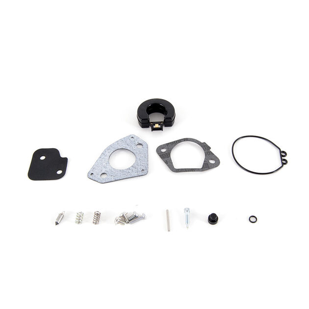 Carburetor Repair Kit