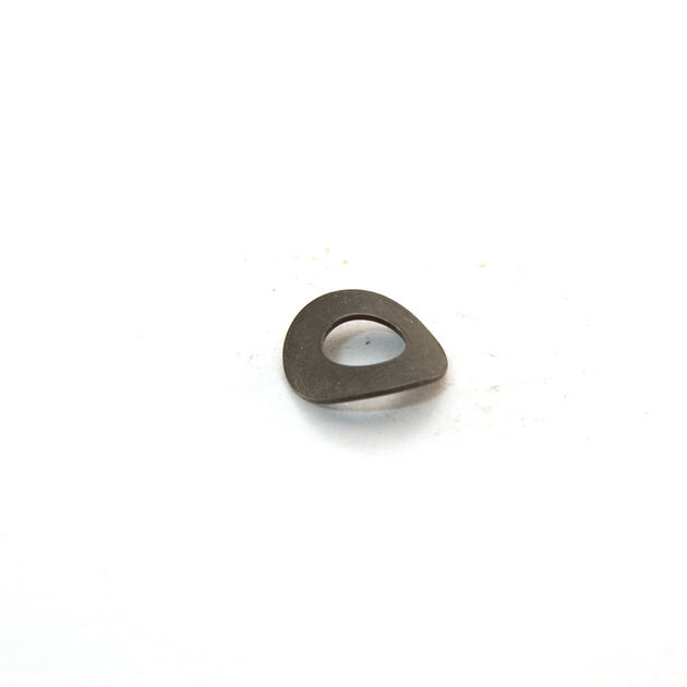 Spring Washer