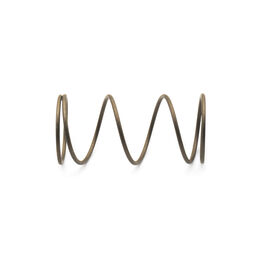 FILTER SPRING                 
