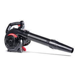 Craftsman 2-Cycle Leaf Blower Vacuum CMXGAAMA27BV