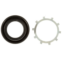 Oil Seal 