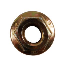 Hex Nut