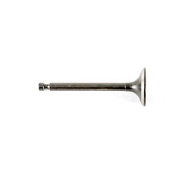 EXHAUST VALVE                 