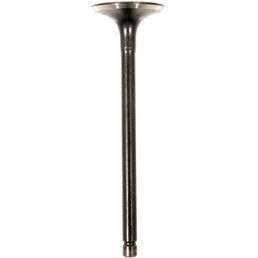 INTAKE VALVE                  