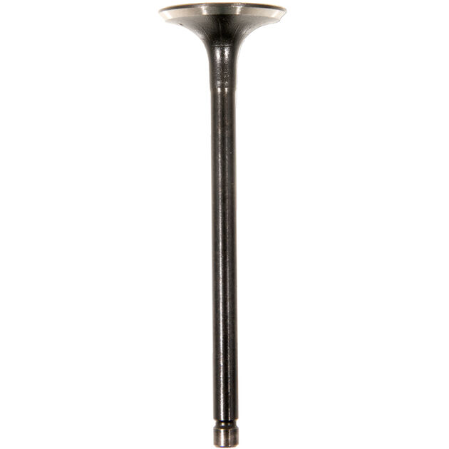 INTAKE VALVE                  