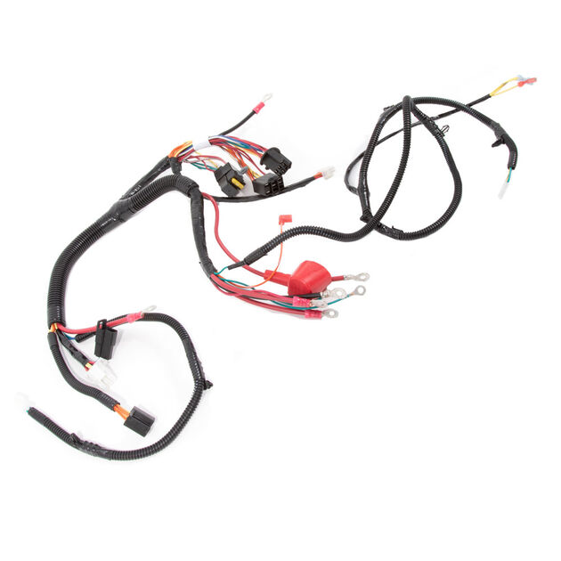 Main Harness Assembly